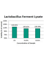 Lactobacillus Ferment Lysate