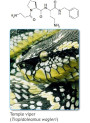 (Syn-Ake eq.) Dipeptide Diaminobutyroyl Benzylamide Diacetate