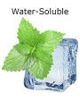 Menthol Water Soluble (20% Menthol, Liquid)
