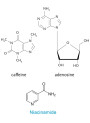 Energy-Blend™ (Caffeine+Adenosine+Vitamin B3)