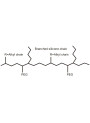 Lauryl PEG-9 Polydimethylsiloxyethyl Dimethicone