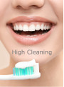 Hydrated Silica (High-Cleaning)