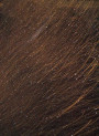 Zinc Pyrithione (Dandruff, Sebderm) Liquid