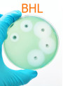 Preserve-Free BHL™