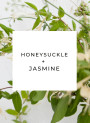 Honeysuckle & Jasmine (compare to Jo Malone)