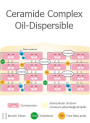 Ceramide Complex (Water/Oil Dispersible Powder)