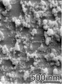 Calcium Sodium Phosphosilicate (Tooth Sensitivity)