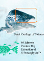 S-Proteoglycan™ Liquid (Salmon Cartilage Protein 10000ppm)