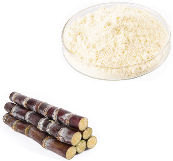 Policosanol (octacosanol) manufacturer Policosanol (octacosanol) manufacturer