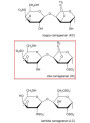 Iota Carrageenan