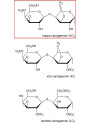 Kappa Carrageenan (80-120 Mesh, Refined, 1450 Gel Strength)