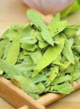 Senna Leaf Extract (Senna glycoside 20%) (สารสกัด จาก ใบมะขามแขก)