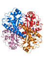 SOD (Superoxide dismutase) (50000IU/g)