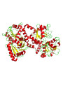 Lactoferrin (95%)